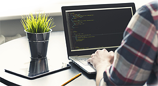 OPROGRAMOWANIE DEDYKOWANE, USŁUGI PROGRAMISTYCZNE